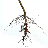 Administrator's avatar